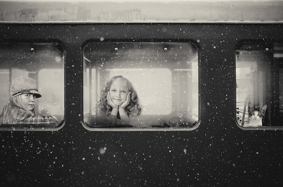 okno vlaku